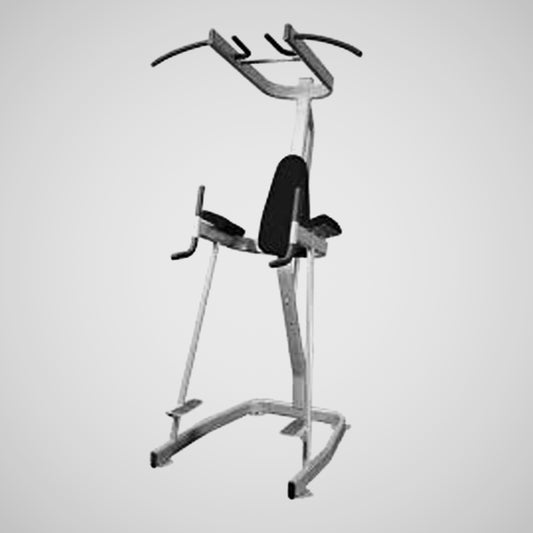 Vertical Knee Raise with Pull Up Station BM - VKRC